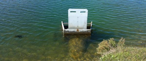 Une journée dans le marais [3]