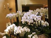 chez Mariage Frères