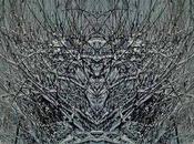 Warrior inside Sosnowiec Pologne