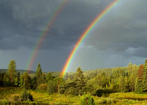 La révolution des âmes.