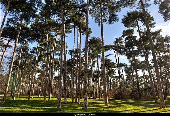 HDR-bois-de-boulogne-002