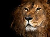 Pour confondre Charisme Leadership…