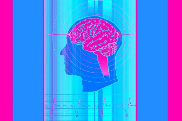 Crise de croissance et pathologies du management