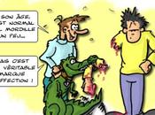 (nouveaux animaux compagnie)