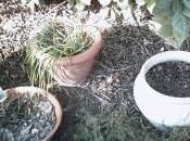 Apres gel, beau temps