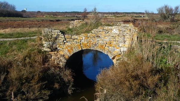 Une journée dans le marais [6]