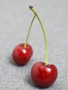 Certains nous font avaler des couleuvres, d'autres.....