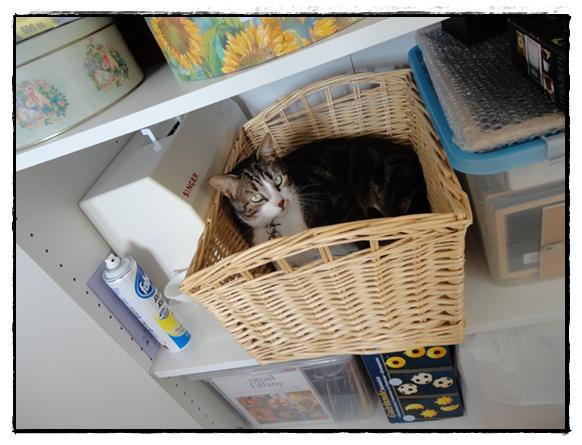 Quoi de neuf au 24 février 2012?