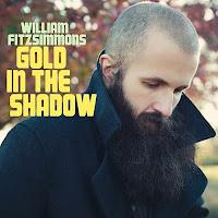 Disque : William Fitzsimmons - Gold in the Shadow (2011)
