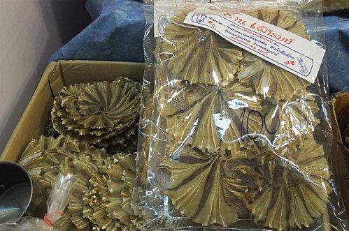 2012-02-22 06-17-25 - DSCF1149 (Medium)