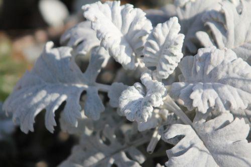 paris 19 fev 2012 038.jpg