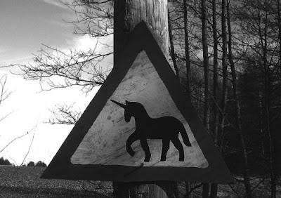 Insolite edition  //