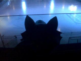 bruleurs de loup vs epinal en photos