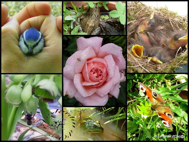 Parce que j'ai reçu ce message,parce que  la Nature&...