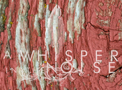 [MP3] Whisper Noise: Sad, Song