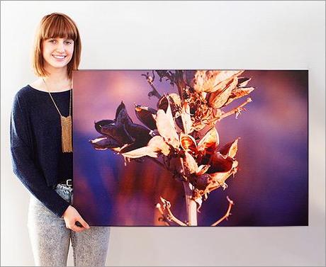 500px fait peau neuve