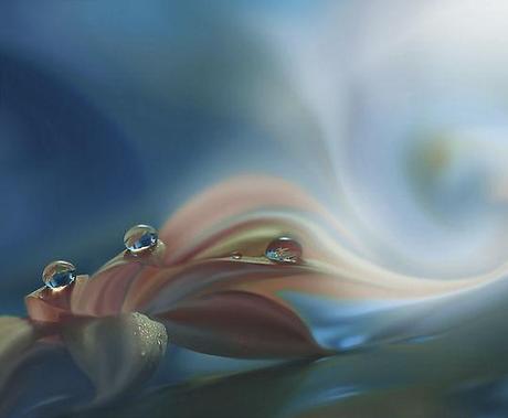 Juliana Nan La sélection Pixfan 500px #19