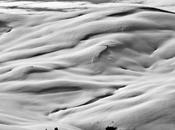 Sélection Darqroom Pixfan