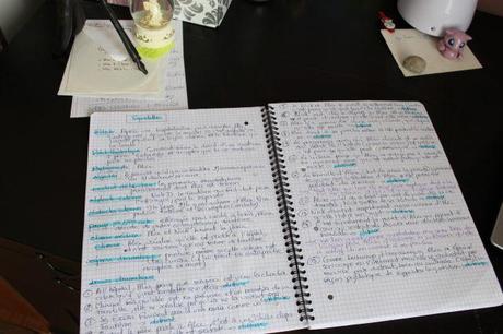 De l’intérêt de rédiger un squelette de son scénario