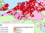 VIRUS SCHMALLENBERG: propagation toujours forte mais inattendue DEFRA