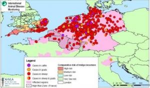 VIRUS SCHMALLENBERG: Une propagation toujours forte mais pas inattendue  – DEFRA