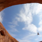 Rope Swing : ils se jettent dans le vide. Rope Swing : ils se jettent dans le vide.
