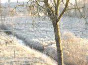 vacances hiver campagne