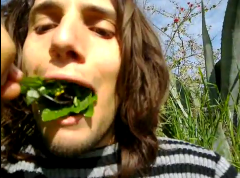 Capture14 Un chant doiseaux ? il y a un droit dauteur pour ça