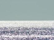 quel sens peut-on dire conscience libre