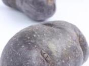 HTA: Manger pommes terre pour faire baisser tension Journal Agricultural Food Chemistry