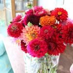 decocrush_AmyButlerHouseTour_023