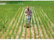 [Mondialisation Multimafieusenales] perte biodiversité responsable malnutrition Agriculture