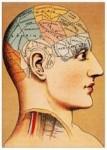 neuroscience, hyper-activité, noyau cochléaire dorsal, potentiels auditifs, intégration somatosensorielle