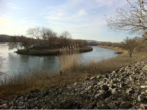 Fin du mois de février au bord du Rhone