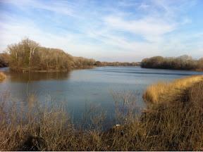 Fin du mois de février au bord du Rhone