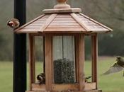 mars, nature réveille.