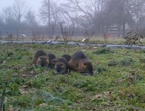 En mars, la nature se réveille.
