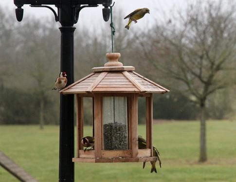 En mars, la nature se réveille.