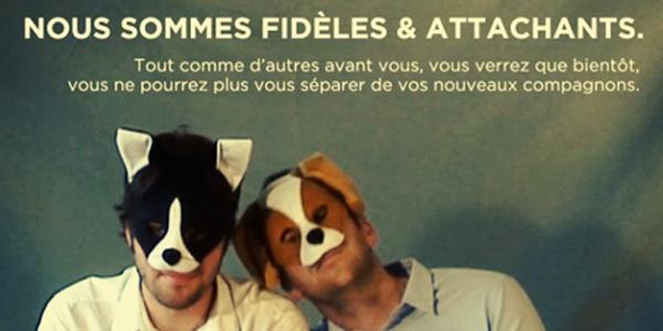 Interview d’agence : Stéréosuper va bouger ton Web !