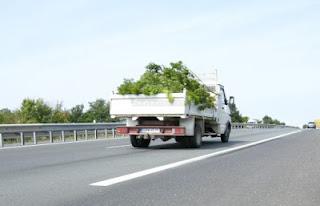 Charente-Maritime: la loutre revient, mais craint toujours l'automobile