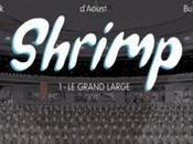 Shrimp nouvelle cent pour belge
