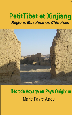 Récit de Voyage Au Pays des Ouïghours