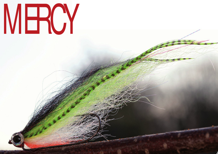 Capture d’écran 2012-03-01 à 10.37.16