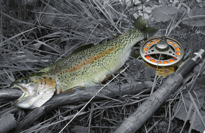 Capture d’écran 2012-03-01 à 10.40.58