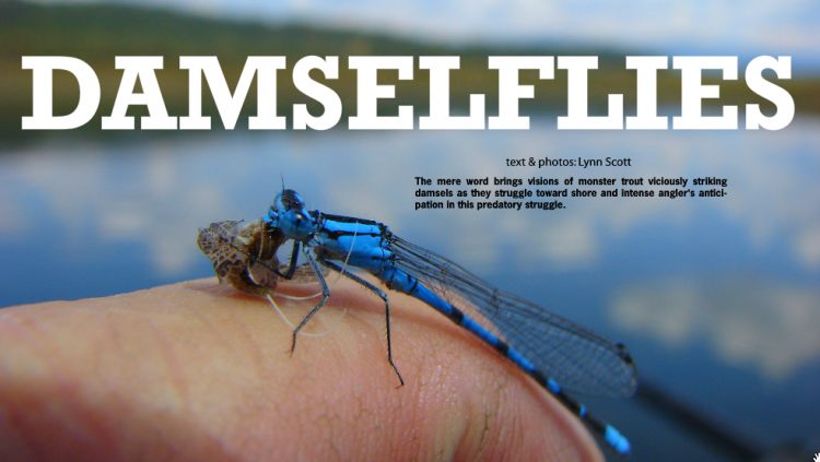 Capture d’écran 2012-03-01 à 10.39.57