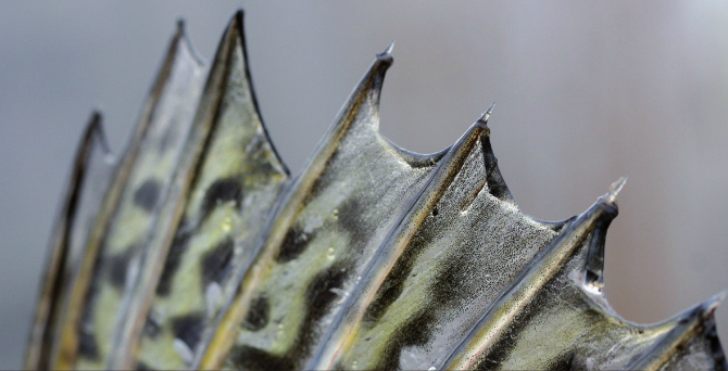 Capture d’écran 2012-03-01 à 10.36.27