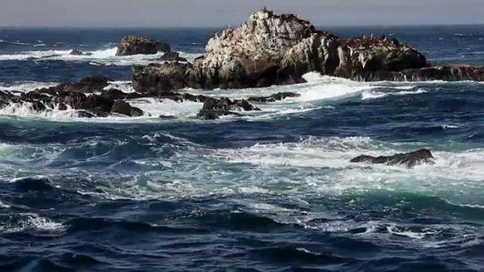 Point Lobos – beyond the photographs
