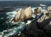 Point Lobos beyond photographs