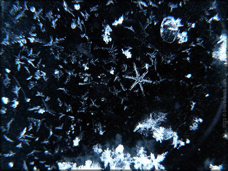 P1230263_snowflakes