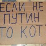 Si ce n'est pas Poutine, alors chat ?